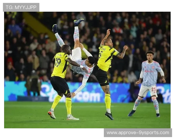 沃特福德足球俱乐部历史回顾与未来发展展望
